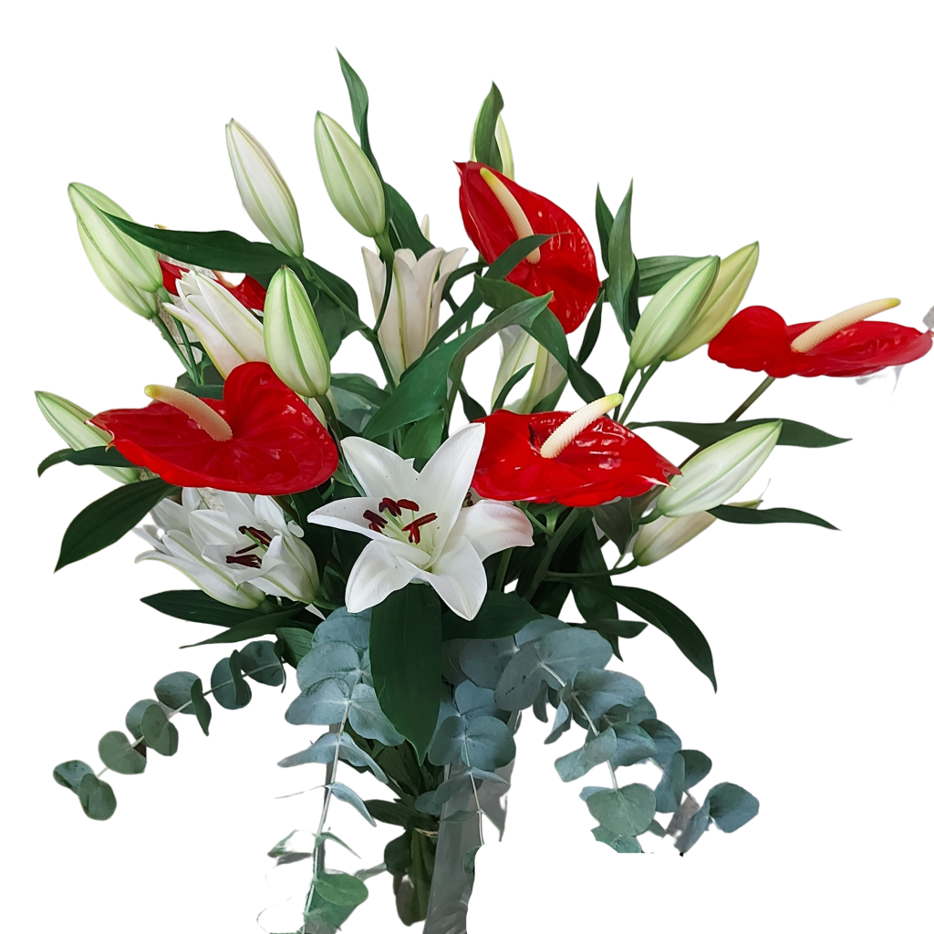 RAMO 19. Lilium y anturios